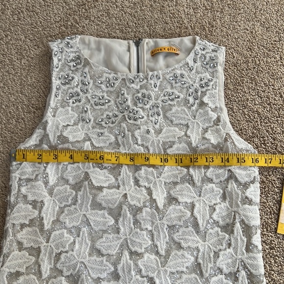 New! Alice and Olivia SZ 2, crystal jacquard lace shift dress. - Picture 13 of 13